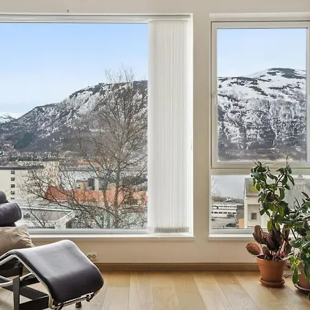 Apartment Exclusive View